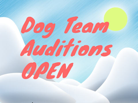 (Open) Dog Team Audition