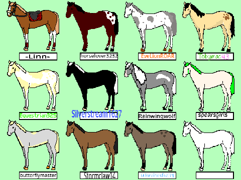 Add yourself as a horse!