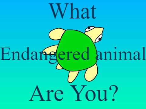 What endangered animal are you? -an animal awareness quiz