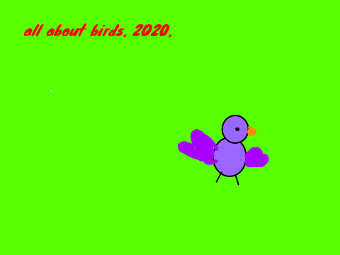 all about birds.
