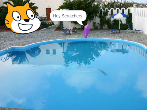 Scratch Contest 2020