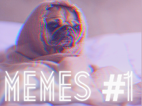 funny memes
