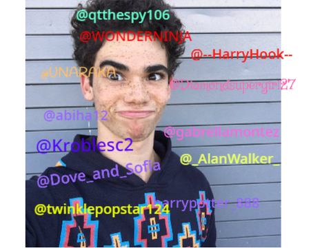 Remix and sign if you miss Cameron Boyce :( (12)