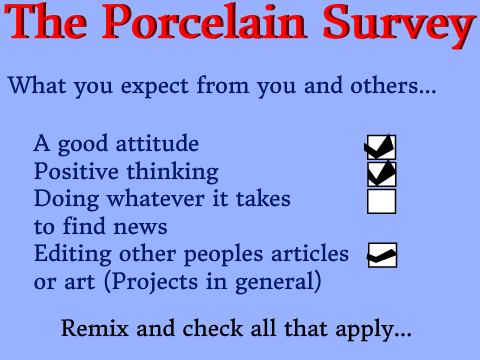 The Porcelain Survey remix
