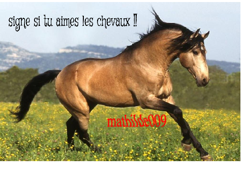 remix et signe si tu aime les chevaux !! 