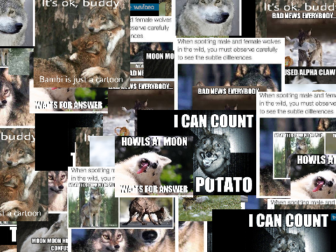 cursed wolf memes(p2)