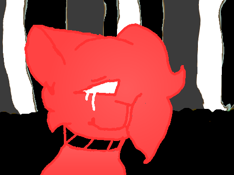CC 