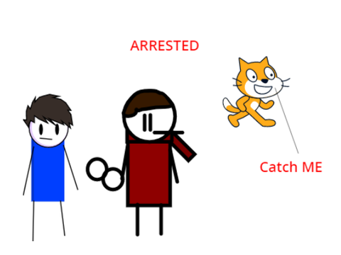 The cat