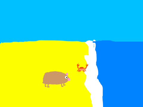 the beach