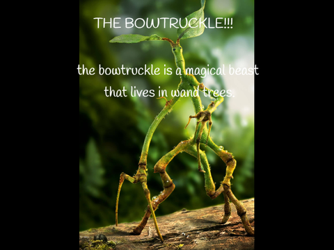 bowtruckles
