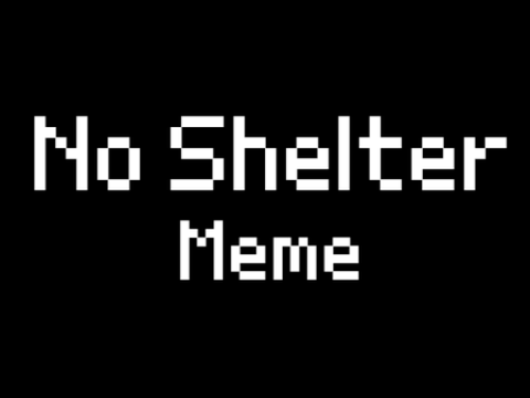No shelter || MEME {PIGGY}