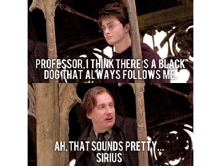 AwEsOmE hArRy PoTtEr MeMeS