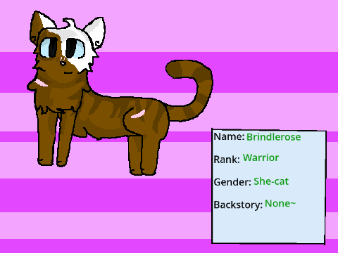 MIS Brindlerose ref~