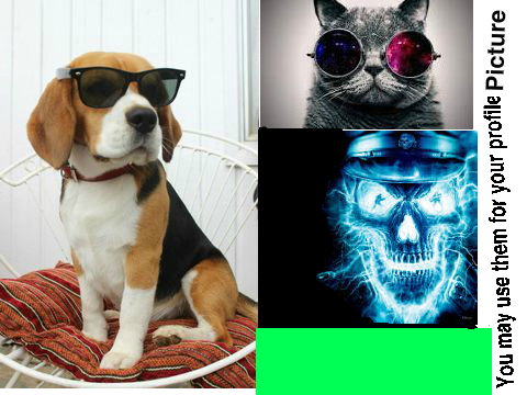 cool pictures Demo