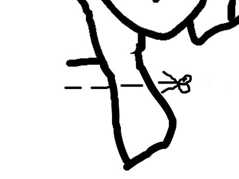 Don't Start Now MAP part (5)