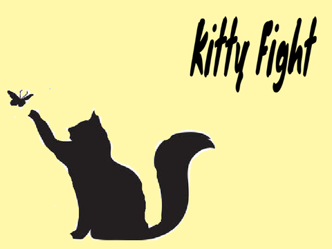 Funny cat song 