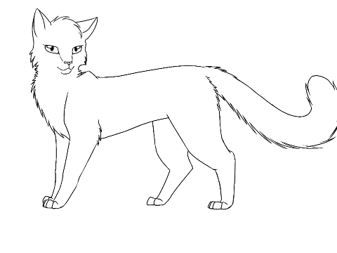 Cat Template