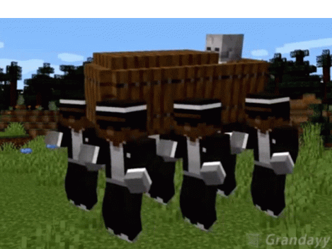 Coffin Meme