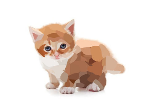 Kitten Blockshade