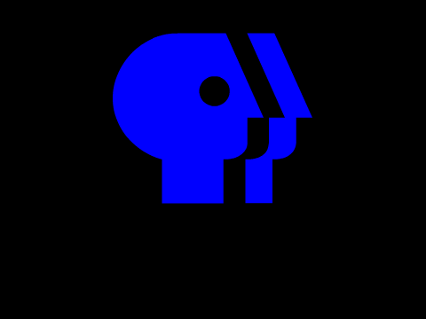 PBS 1984 Logo