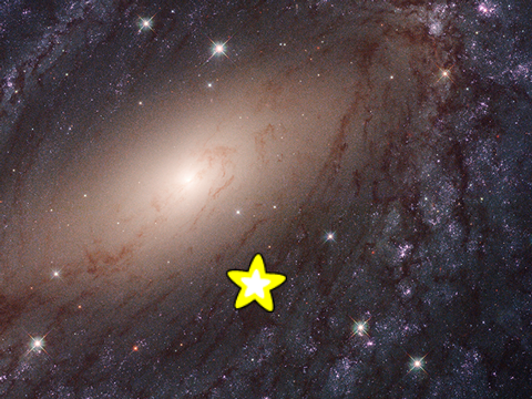 星を捕まえよう！