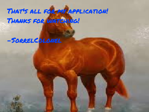 Curator Application- SorrelColonel