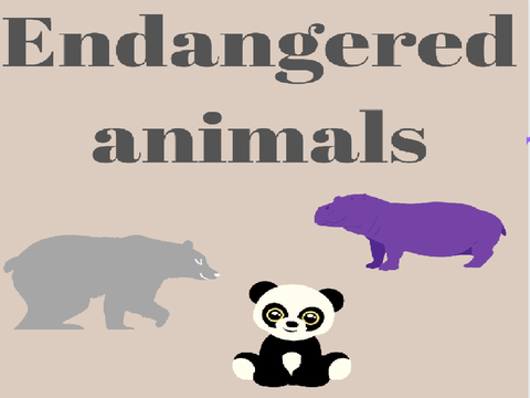 Endangered Animals!