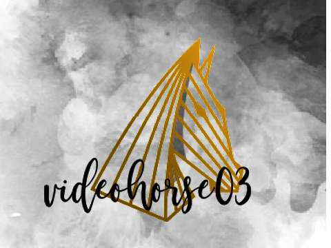 Pfp for @videohorse03