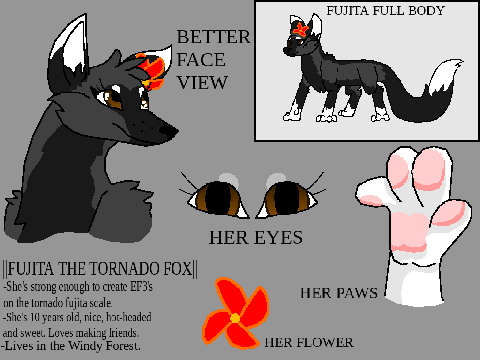 || FUJITA THE TORNADO FOX ||