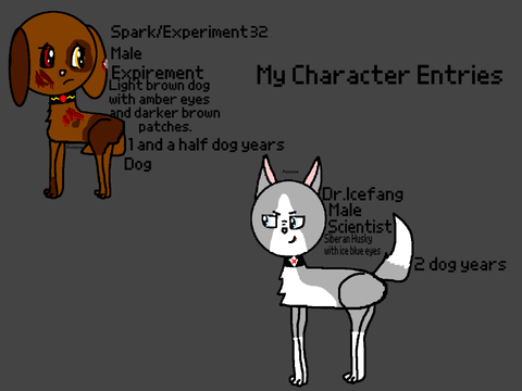 My Character Entries