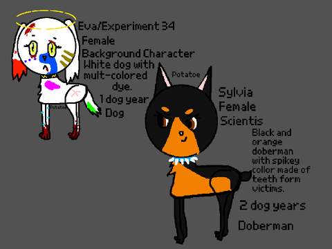 My 2nd Chatacter Entry