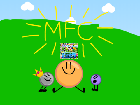 3D MFC Intro