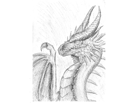 My art competition entry