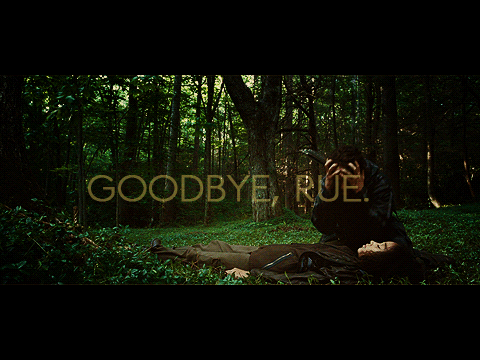 Good Bye... Rue...