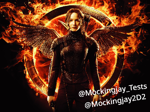 Remix and Sign If you love The Hunger Games remix