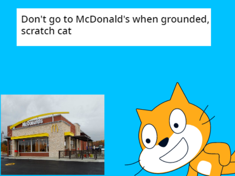 every scratch cat video in a nutshell 1 - goez 2 McDonald’s remix-2