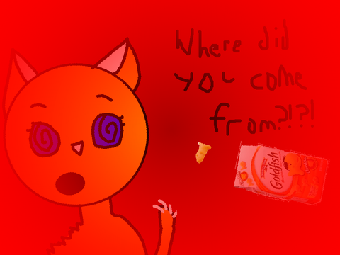 GOLDFISH! Vine
