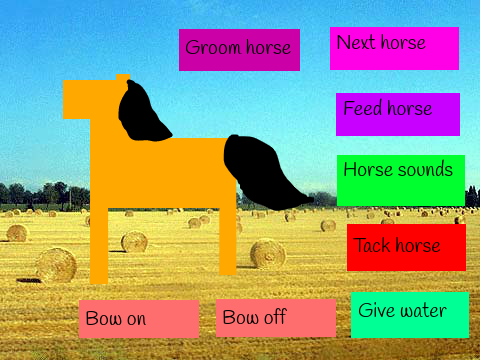 Pet Horse