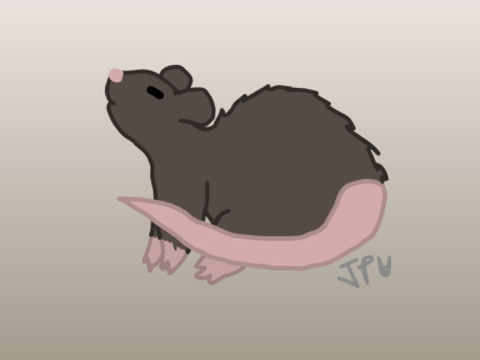 Scabbers :0