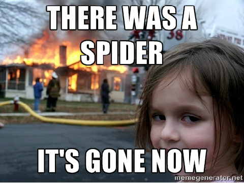 There was a spider; it's gone now.