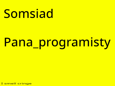Somsiad Pana programisty (cringe)