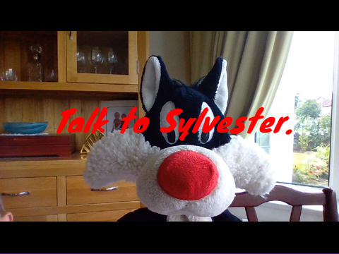 Talk to Sylvester 