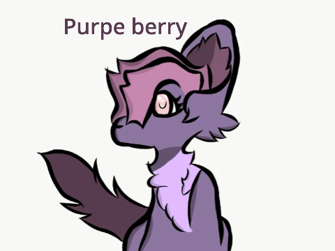 Meet Purple berry!