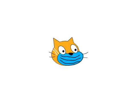 Covid Cat