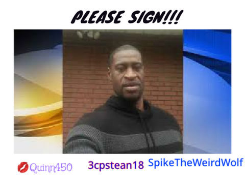 Sign this to Show Your Support to George Floyd tonight we rise