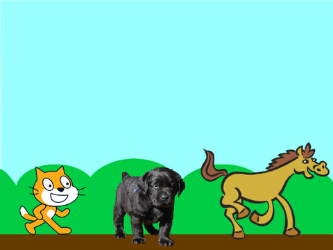Animals sounds and names