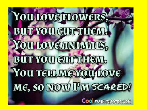 You say you love...