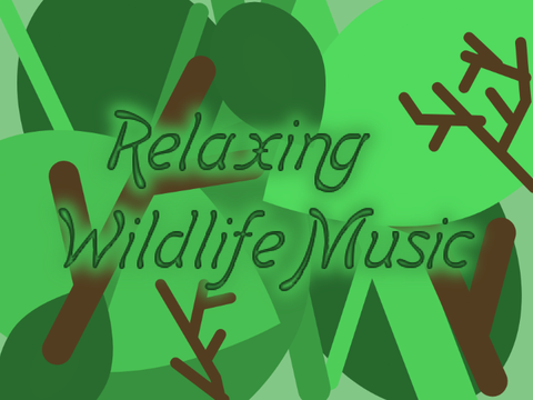 Wildlife Sounds And Music