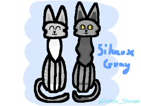 Gift For @Tillytops2
