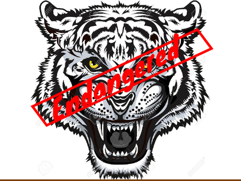 Misison Tiger: The Game